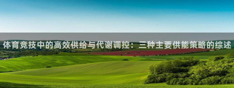 球客岛：体育竞技中的高效供给与代谢调控：三种主要供能策略的综述
