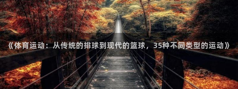 球客岛：《体育运动：从传统的排球到现代的篮球，35种不同类型的运动》