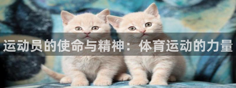 球客岛：运动员的使命与精神：体育运动的力量