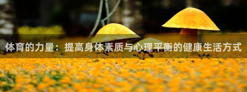 球客岛：体育的力量：提高身体素质与心理平衡的健康生活方式