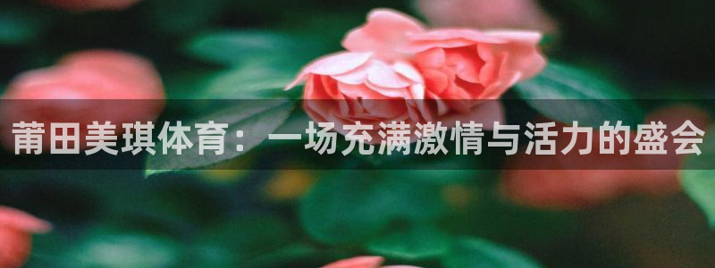 球客岛：莆田美琪体育：一场充满激情与活力的盛会