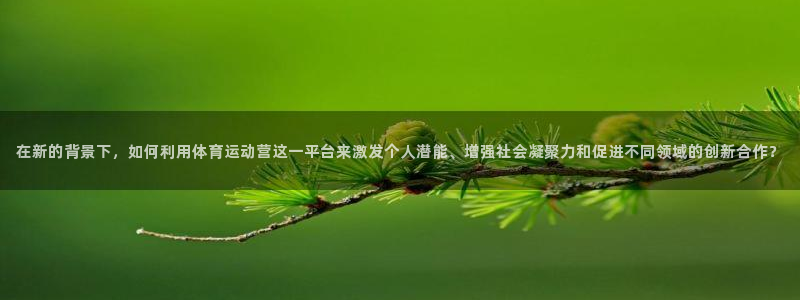 球客岛：在新的背景下，如何利用体育运动营这一平台来激发个人潜能、增强社会凝聚力和促进不同领域的创新合作？