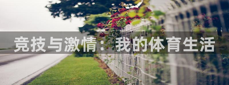 球客岛：竞技与激情：我的体育生活